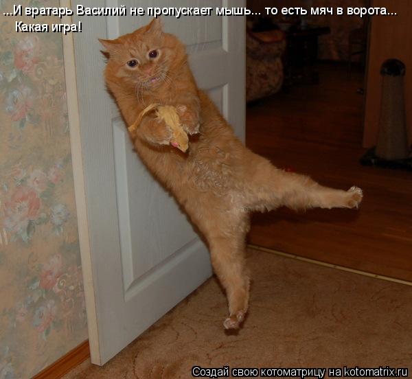 Котоматрица: ...И вратарь Василий не пропускает мышь... то есть мяч в ворота...  Какая игра!