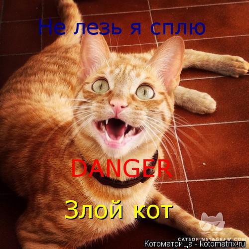 Котоматрица: Не лезь я сплю DANGER Злой кот
