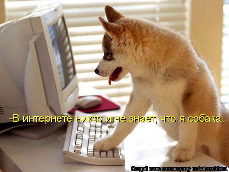 Котоматрица: -В интернете никто и не знает, что я собака.