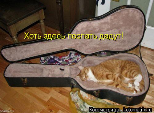 Котоматрица: Хоть здесь поспать дадут!