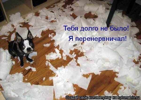 Котоматрица: Тебя долго не было! Я перенервничал!