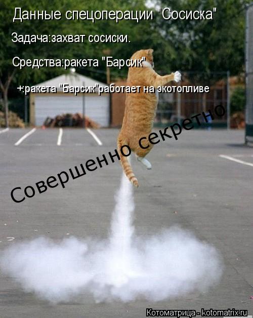 Котоматрица: Данные спецоперации "Сосиска" Задача:захват сосиски. Средства:ракета "Барсик" +:ракета "Барсик"работает на экотопливе Совершенно секретно