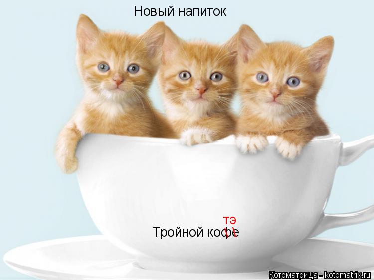Котоматрица: Новый напиток Тройной кофе \ \ тэ