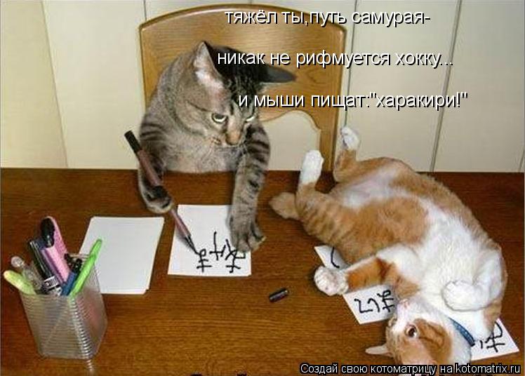 Котоматрица: тяжёл ты,путь самурая- и мыши пищат:"харакири!" никак не рифмуется хокку...