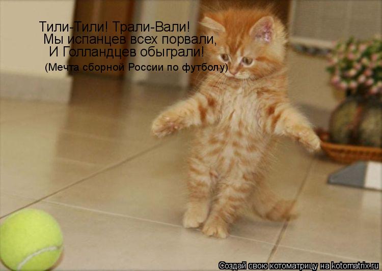 Котоматрица: Тили-Тили! Трали-Вали! Мы испанцев всех порвали, И Голландцев обыграли! (Мечта сборной России по футболу)