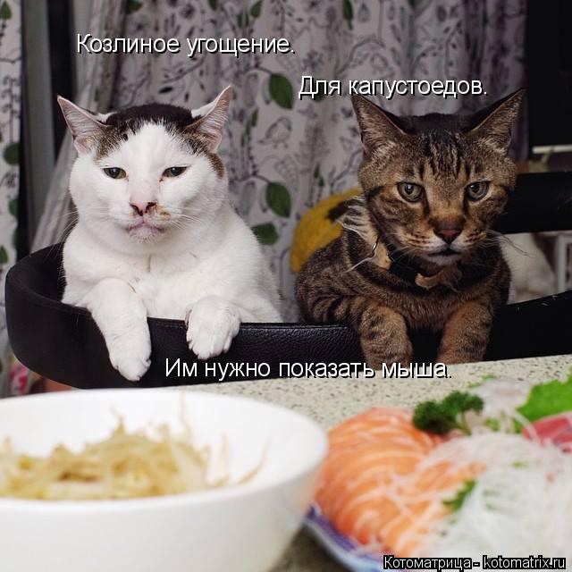 Котоматрица: Козлиное угощение. Для капустоедов. Им нужно показать мыша.