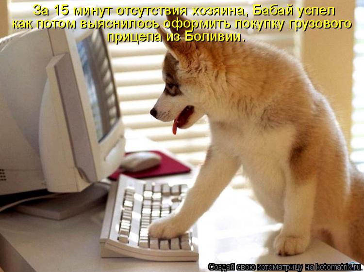 Котоматрица: За 15 минут отсутствия хозяина, Бабай успел как потом выяснилось оформить покупку грузового прицепа из Боливии.