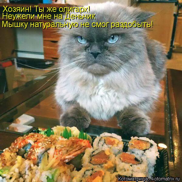 Котоматрица: Хозяин! Ты же олигарх! Неужели мне на Деньчик Мышку натуральную не смог раздобыть!