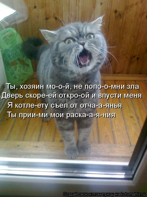 Котоматрица: Ты, хозяин мо-о-й, не попо-о-мни зла Дверь скоре-ей откро-ой и впусти меня Я котле-ету съел от отча-а-янья Ты прии-ми мои раска-а-я-ния