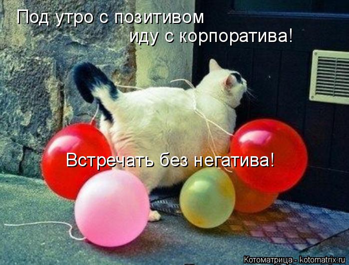 Котоматрица: Под утро с позитивом иду с корпоратива! Встречать без негатива!
