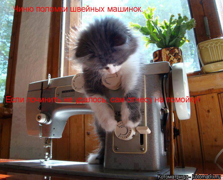 Котоматрица: Чиню поломки швейных машинок. Если починить не удалось, сам отнесу на помойку!