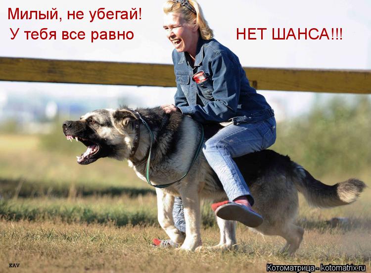 Котоматрица: Милый, не убегай! У тебя все равно  НЕТ ШАНСА!!!