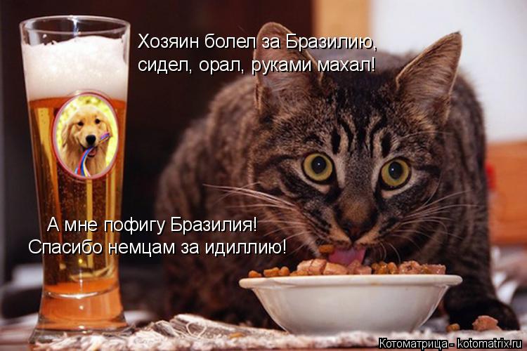 Котоматрица: Хозяин болел за Бразилию, сидел, орал, руками махал! Спасибо немцам за идиллию! А мне пофигу Бразилия!