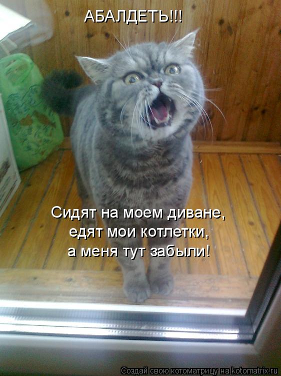 Котоматрица: АБАЛДЕТЬ!!! Сидят на моем диване,  едят мои котлетки,  а меня тут забыли!
