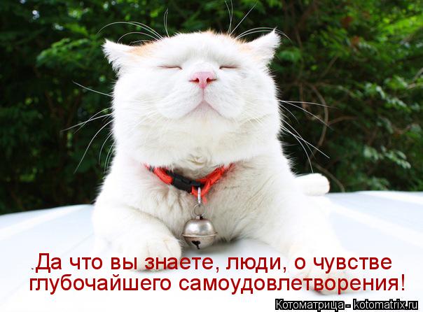 Котоматрица: Да что вы знаете, люди, о чувстве  глубочайшего самоудовлетворения!