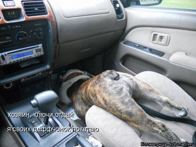 Котоматрица: хозяин, ключи отдай я своих деффчонок покатаю
