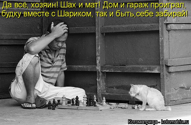 Котоматрица: Да всё, хозяин! Шах и мат! Дом и гараж проиграл, будку вместе с Шариком, так и быть,себе забирай!