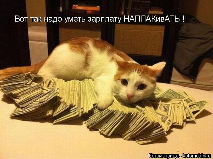 Котоматрица: Вот так надо уметь зарплату НАПЛАКивАТЬ!!!