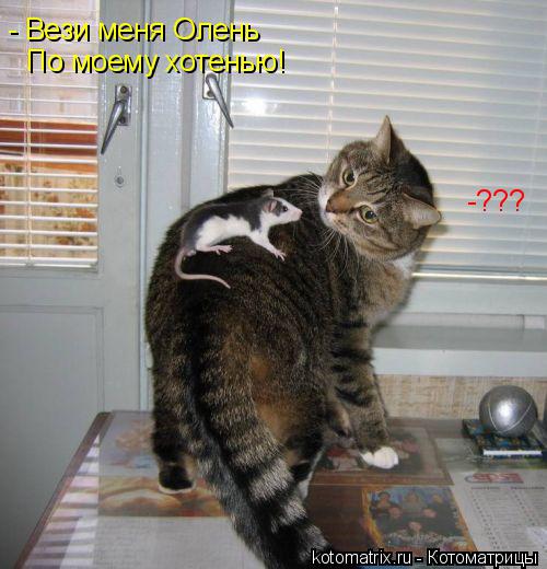 Котоматрица: По моему хотенью! -??? - Вези меня Олень