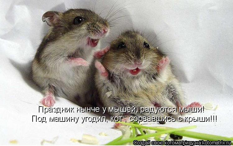 Котоматрица: Праздник нынче у мышей, радуются мыши! Под машину угодил, кот , сорвавшись с крыши!!!