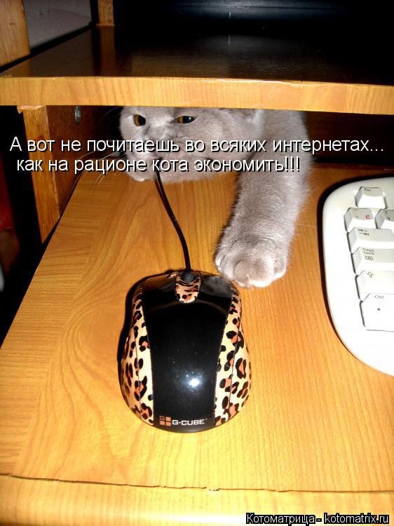 Котоматрица: А вот не почитаешь во всяких интернетах... как на рационе кота экономить!!!