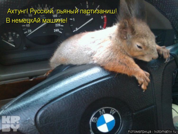 Котоматрица: Ахтунг! Русский, пьяный партизаниш! В немецкАй машине!