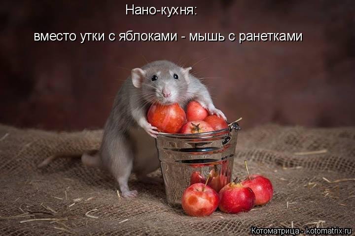 Котоматрица: Нано-кухня: вместо утки с яблоками - мышь с ранетками