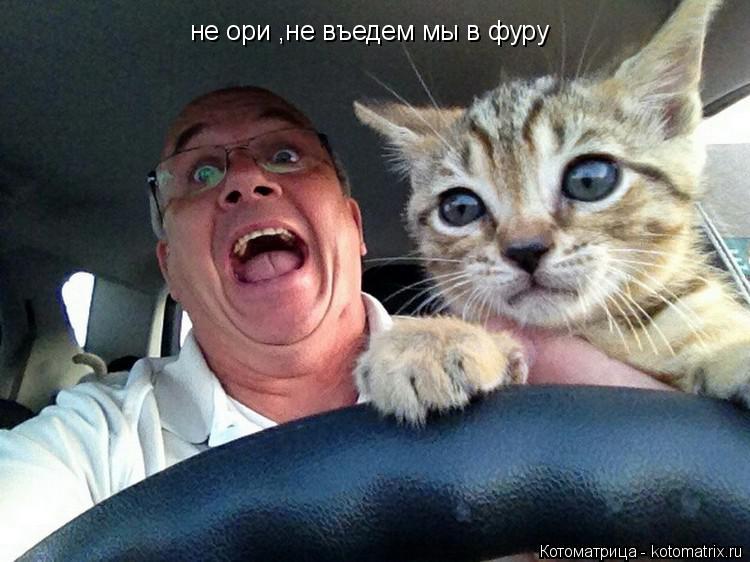 Котоматрица: не ори ,не въедем мы в фуру