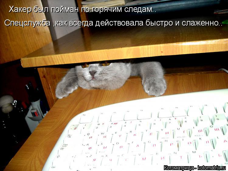 Котоматрица: Хакер был пойман по горячим следам.. Спецслужба ,как всегда действовала быстро и слаженно..