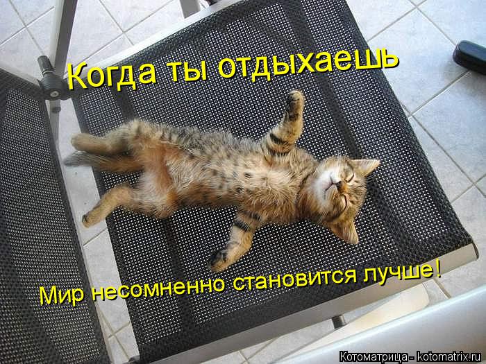 Котоматрица: Когда ты отдыхаешь Мир несомненно становится лучше!