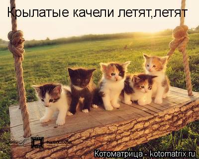 Котоматрица: Крылатые качели летят,летят
