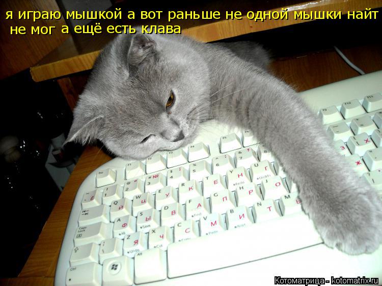 Котоматрица: я играю мышкой а вот раньше не одной мышки найт не мог не мог не мог а ещё есть клава