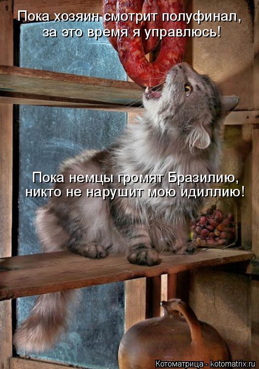 Котоматрица: Пока немцы громят Бразилию,  никто не нарушит мою идиллию! Пока хозяин смотрит полуфинал,  за это время я управлюсь!