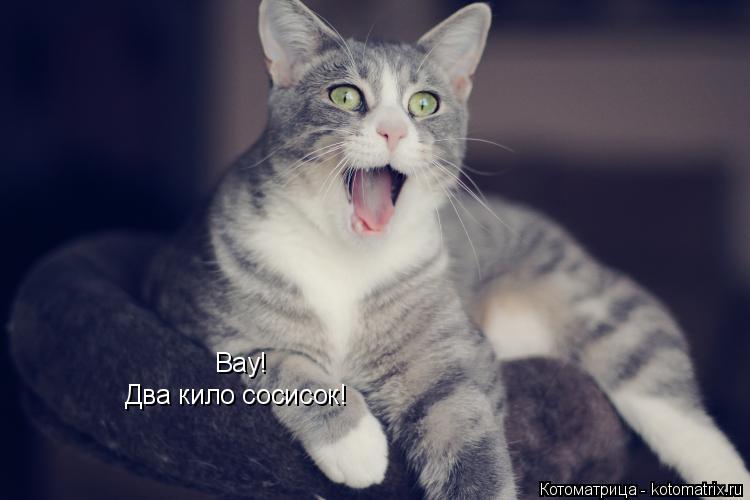 Котоматрица: Вау! Два кило сосисок!