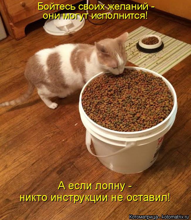 Котоматрица: Бойтесь своих желаний -  они могут исполнится! А если лопну -  никто инструкции не оставил!