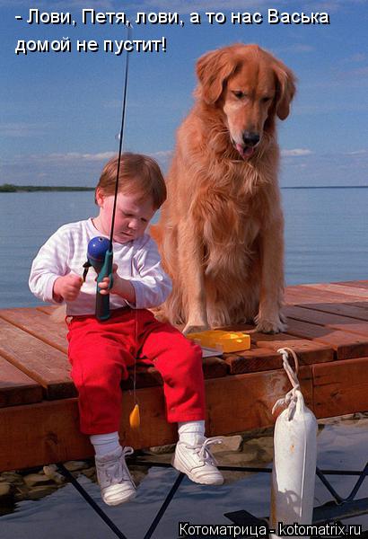 Котоматрица: - Лови, Петя, лови, а то нас Васька  домой не пустит!