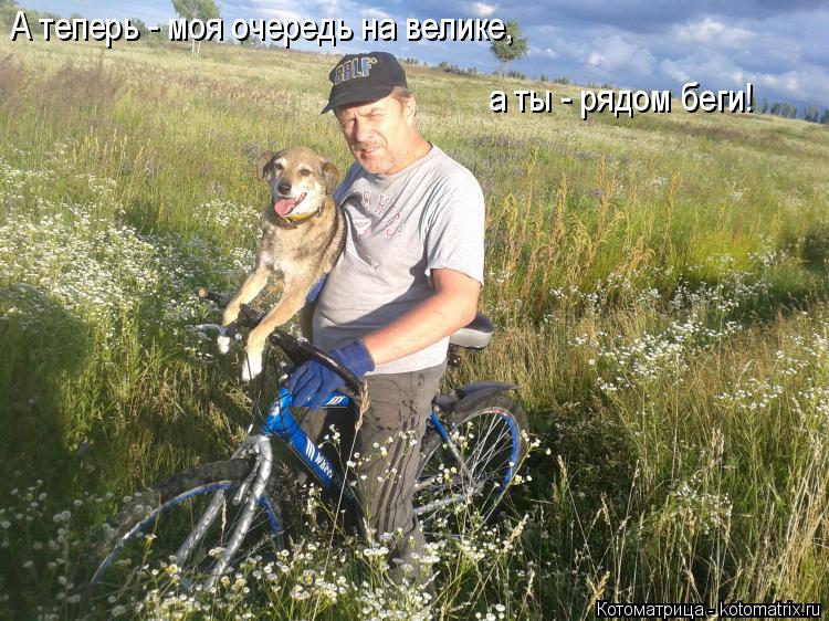 Котоматрица: А теперь - моя очередь на велике, а ты - рядом беги!