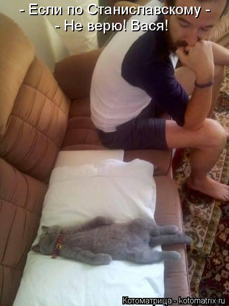 Котоматрица: - Если по Станиславскому -  - Не верю! Вася!