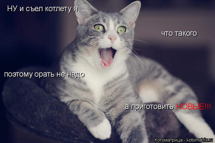 Котоматрица: НУ и съел котлету я что такого поэтому орать не надо а приготовить  НОВЫЕ!!!
