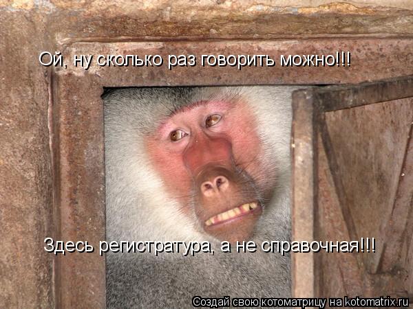 Котоматрица: Ой, ну сколько раз говорить можно!!! Здесь регистратура, а не справочная!!!