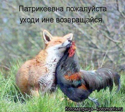 Котоматрица: Патрикеевна пожалуйста уходи ине возвращайся