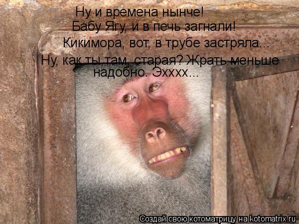 Котоматрица: Ну и времена нынче!  Бабу Ягу, и в печь загнали! Кикимора, вот, в трубе застряла... Ну, как ты там, старая? Жрать меньше  надобно. Эхххх...