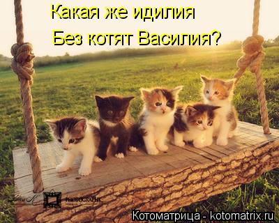 Котоматрица: Какая же идилия Без котят Василия?