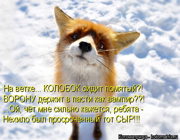 Котоматрица: На ветке... КОЛОБОК сидит помятый?! ВОРОНУ держит в пасти как вампир??! ...Ой, чёт мне сильно кажется, ребята - Нехило был просроченный тот СЫР!!!