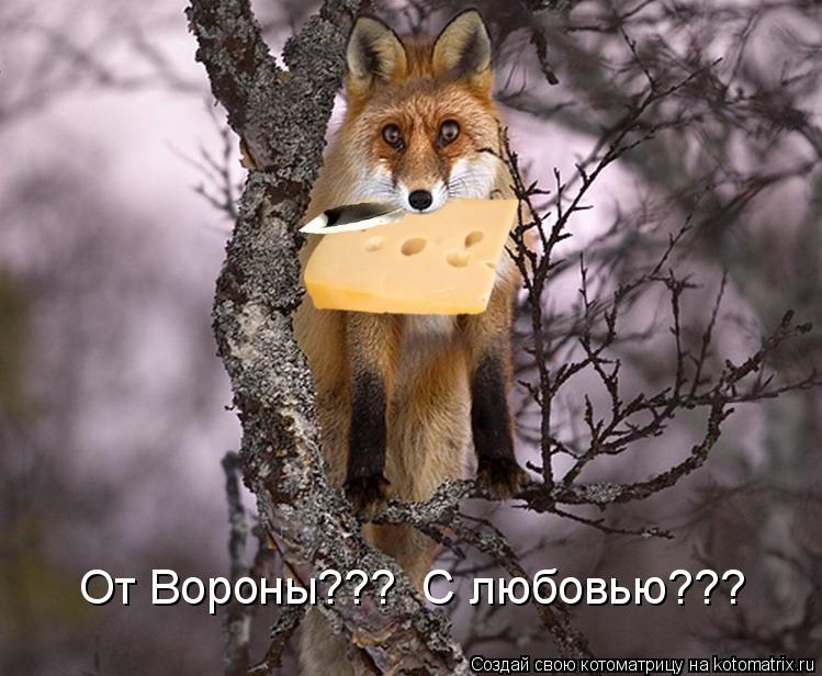 Котоматрица: От Вороны???  С любовью???