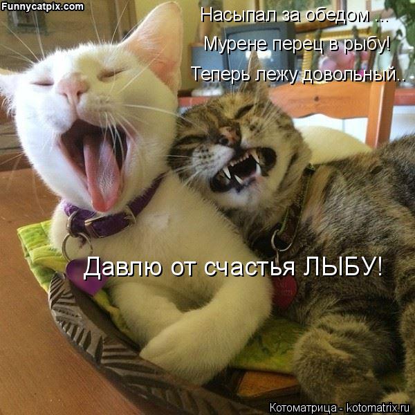 Котоматрица: Насыпал за обедом ... Мурене перец в рыбу! Теперь лежу довольный.. Давлю от счастья ЛЫБУ!