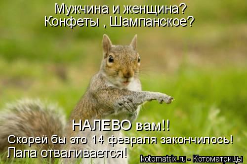 Мужчина и женщина? Конфеты , Шампанское? НАЛЕВО вам!! Скорей бы это 14 февраля закончилось! Лапа отва... Котоматрица: Мужчина и женщина? Конфеты , Шампанское? НАЛЕВО вам!! Скорей бы это 14 февраля закончилось! Лапа отваливается!