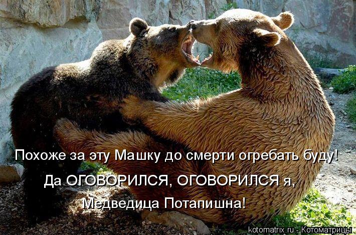 Котоматрица: Похоже за эту Машку до смерти огребать буду! Да ОГОВОРИЛСЯ, ОГОВОРИЛСЯ я,  Медведица Потапишна!