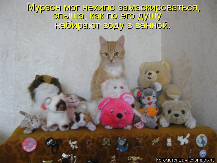 Котоматрица: слыша, как по его душу  набирают воду в ванной. Мурзон мог нехило замаскироваться,