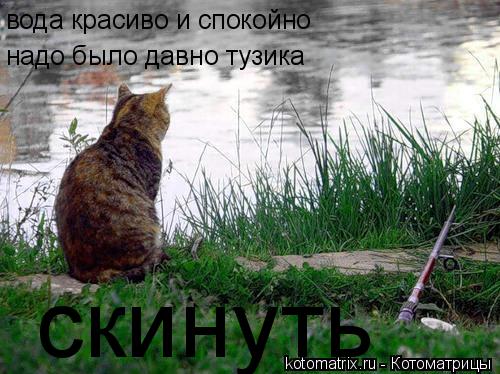 Котоматрица: вода красиво и спокойно надо было давно тузика скинуть
